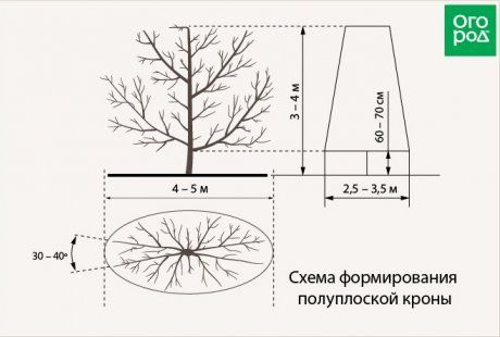 Кансультацыі для педагогаў